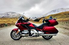 2021 Ruby at Grapevine Rd January.jpg